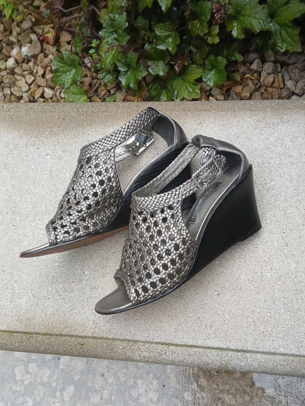 Brighton realm woven
